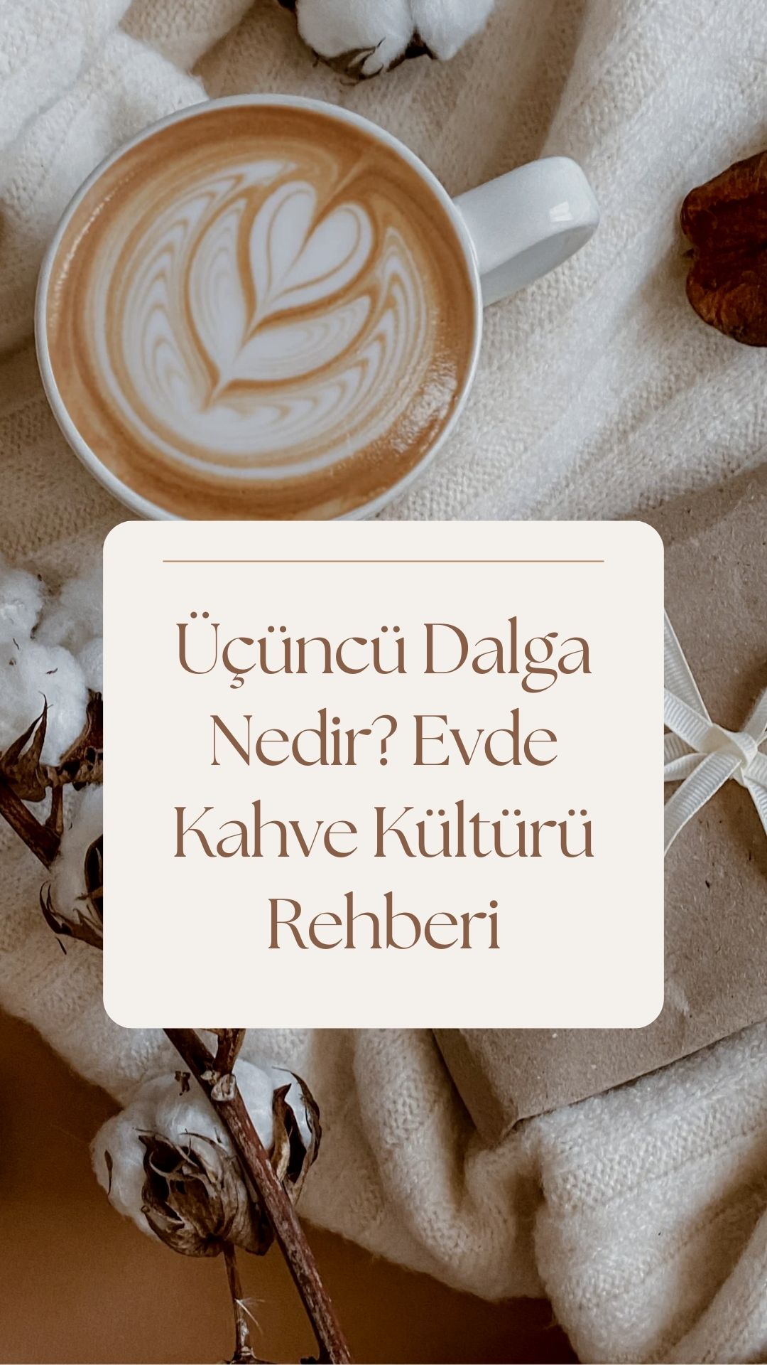 Üçüncü Dalga Nedir? Evde Kahve Kültürü Rehberi